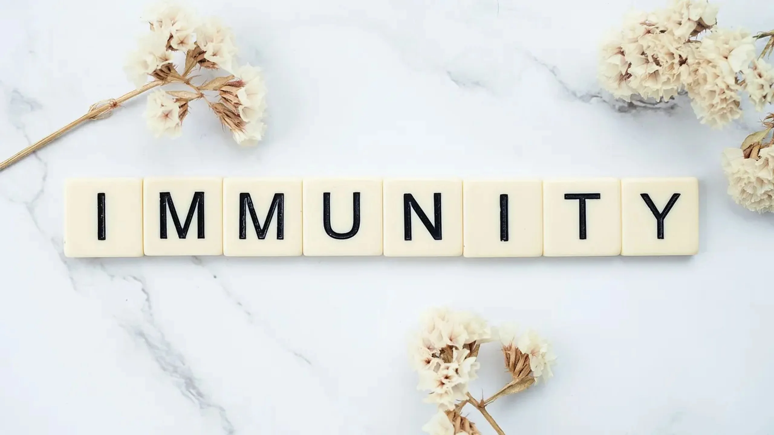 immunity.webp